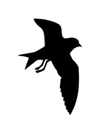 Similar image 439623