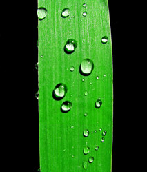 Similar image 439626