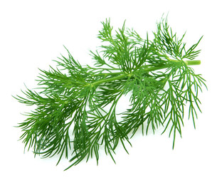 Similar image 439649