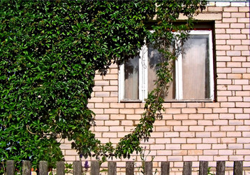 Similar image 439682