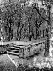 Similar image 439693