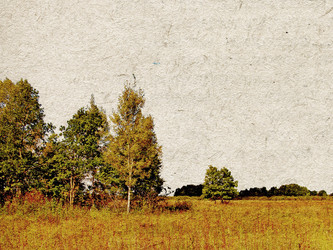 Similar image 439712