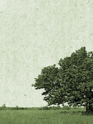 Similar image 439713