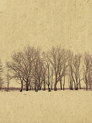 Similar image 439716