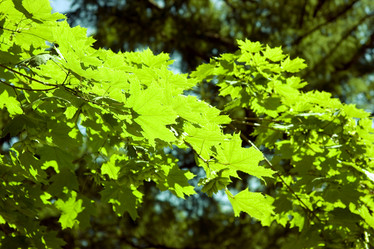 Similar image 439718