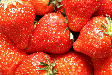 Similar image 439754