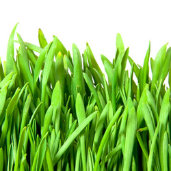 Similar image 439944