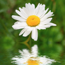 Similar image 439968