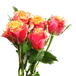 Similar image 439981