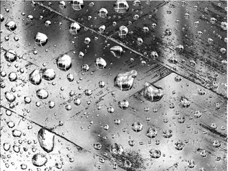 Similar image 439995