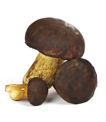 Similar image 440055