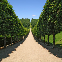 Similar image 440064