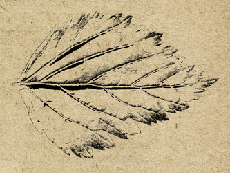 Similar image 440113