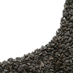 Similar image 440115