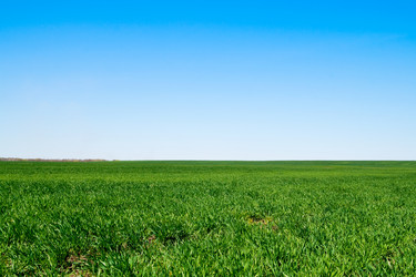 Similar image 440148