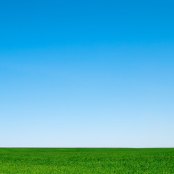 Similar image 440149