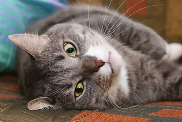 Similar image 440159