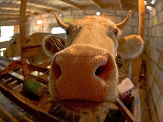 Similar image 440169