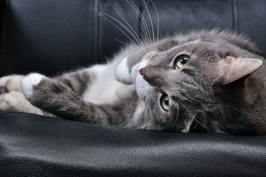 Similar image 440172