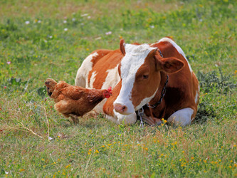 Similar image 440183