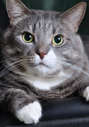 Similar image 440185