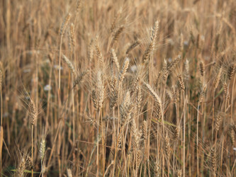 Similar image 440190