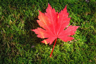 Similar image 440209