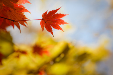 Similar image 440212