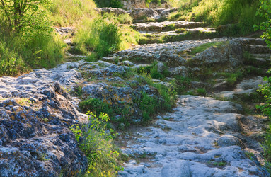 Similar image 440223