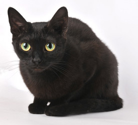 Similar image 440250