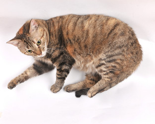 Similar image 440255