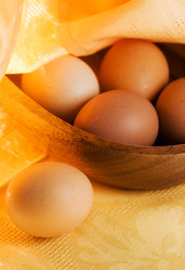 Similar image 440257