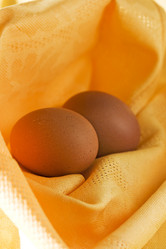 Similar image 440258