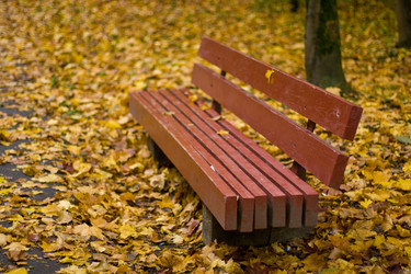 Similar image 440265