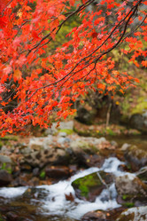 Similar image 440280