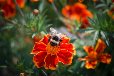 Similar image 440300