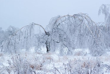 Similar image 440308