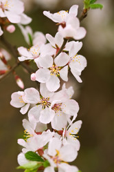 Similar image 440321