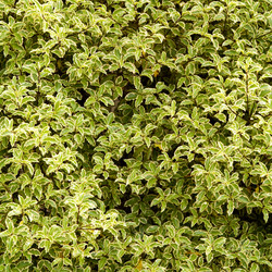 Similar image 440328