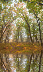 Similar image 440329