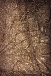 Similar image 440347