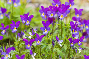 Similar image 440353