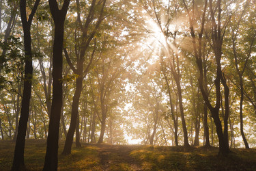 Similar image 440356