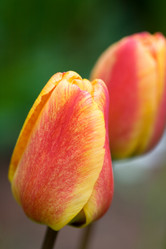 Similar image 440360