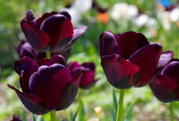 Similar image 440362