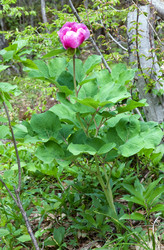 Similar image 440365