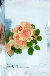 Similar image 440382