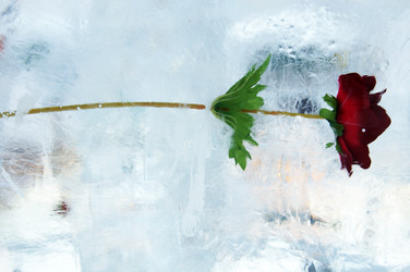 Similar image 440384