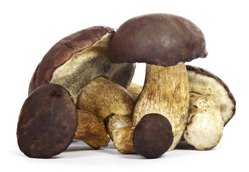 Similar image 440391