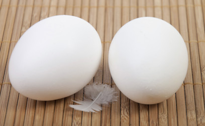 Similar image 440393